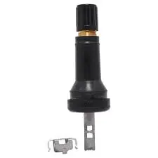 [03-05219] 2017 Nissan Quest valve & clip VS-30